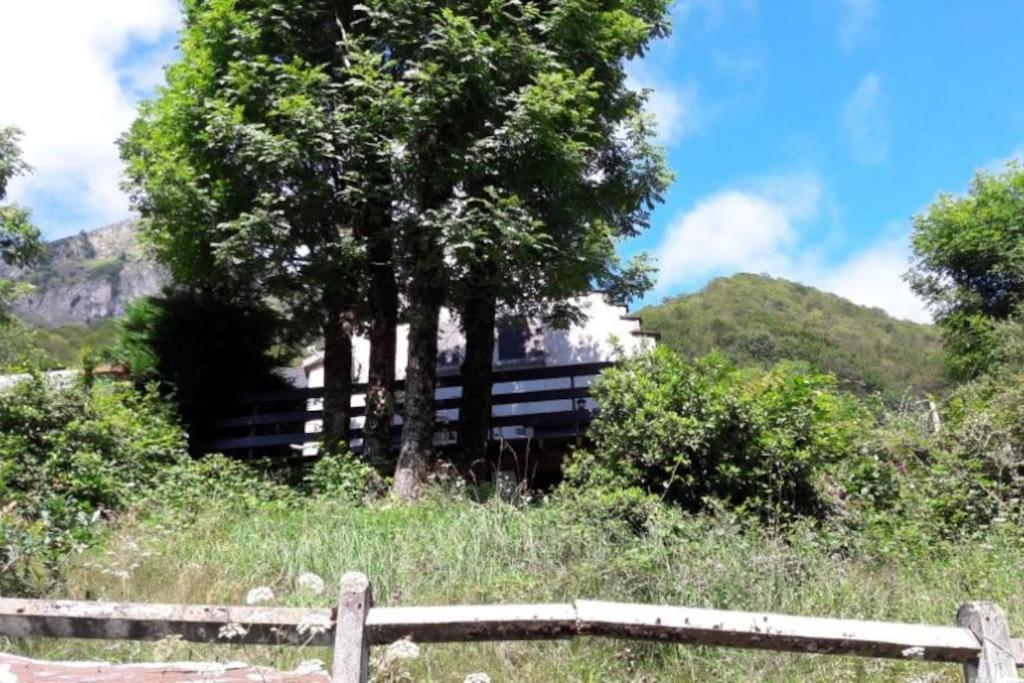 Chalet Oustaou Campan La Mongie Col Du Tourmalet Zewnętrze zdjęcie
